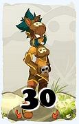 Um personagem do jogo Dofus, Roublard-Ar, de nivel 30