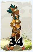 Um personagem do jogo Dofus, Roublard-Ar, de nivel 34