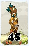 Un personnage du jeu Dofus, Roublard-Air, au niveau 45