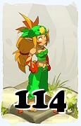 Un personnage du jeu Dofus, Eniripsa-Air, au niveau 114