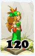 Um personagem do jogo Dofus, Sacrier-Ar, de nivel 120