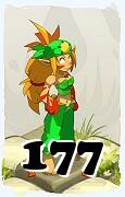 Un personnage du jeu Dofus, Sadida-Air, au niveau 177