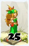 Um personagem do jogo Dofus, Sacrier-Ar, de nivel 25