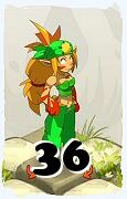 A Dofus character, Sacrier-Air, by level 36