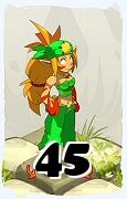 Um personagem do jogo Dofus, Steamer-Ar, de nivel 45