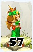 A Dofus character, Sacrier-Air, by level 57