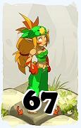 Um personagem do jogo Dofus, Sacrier-Ar, de nivel 67