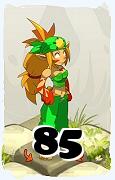 A Dofus character, Sacrier-Air, by level 85