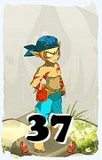 A Dofus character, Sacrier-Air, by level 37