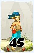 Um personagem do jogo Dofus, Sacrier-Ar, de nivel 45