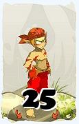 Um personagem do jogo Dofus, Sacrier-Ar, de nivel 25