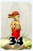 A Dofus character, Sacrier-Air, by level 34