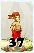 A Dofus character, Sacrier-Air, by level 37