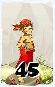 Um personagem do jogo Dofus, Sacrier-Ar, de nivel 45