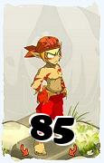 Um personagem do jogo Dofus, Sacrier-Ar, de nivel 85