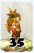 Um personagem do jogo Dofus, Sacrier-Ar, de nivel 35