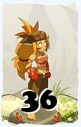 Um personagem do jogo Dofus, Sacrier-Ar, de nivel 36