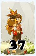 Um personagem do jogo Dofus, Sacrier-Ar, de nivel 37