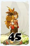 Um personagem do jogo Dofus, Sacrier-Ar, de nivel 45