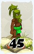 Un personnage du jeu Dofus, Roublard-Air, au niveau 45