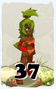 A Dofus character, Sadida-Air, by level 37