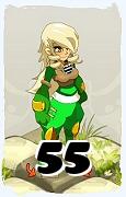 A Dofus character, Rogue-Air, by level 55