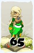 A Dofus character, Sadida-Air, by level 65