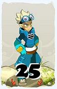 A Dofus character, Feca-Air, by level 25