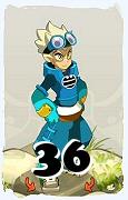 A Dofus character, Sacrier-Air, by level 36