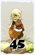 Un personaggio del gioco Dofus, Steamer-Aria, al livello 45